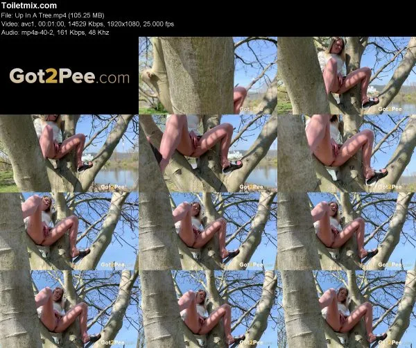 Up In A Tree