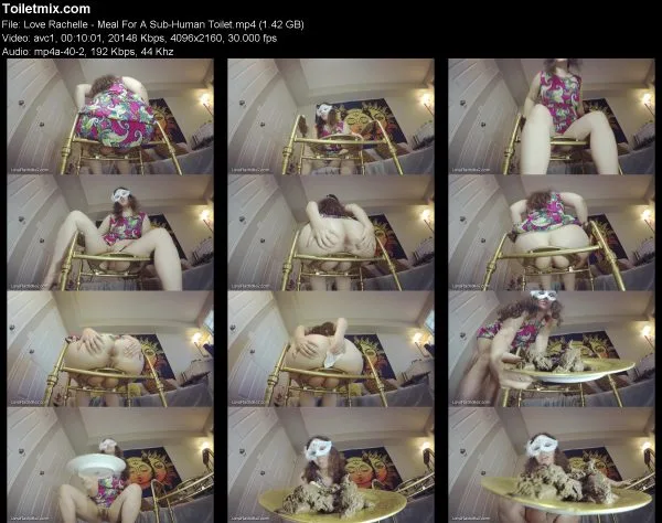 Love Rachelle – Meal For A Sub-Human Toilet