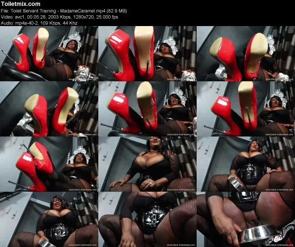 Toilet Servant Training – MadameCaramel