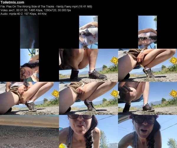 Piss On The Wrong Side of The Tracks – Nerdy Faery