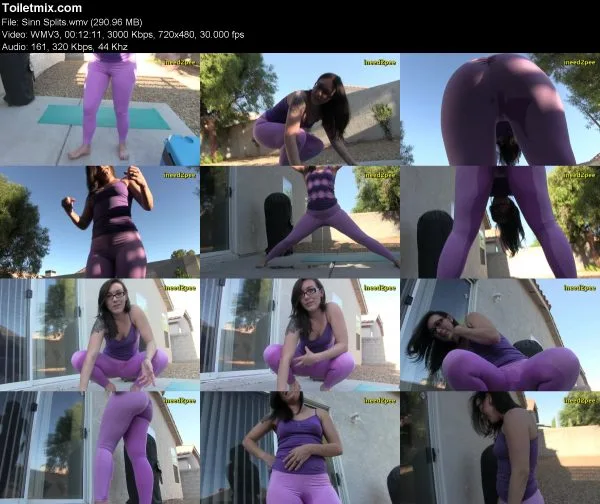 Sinn Splits