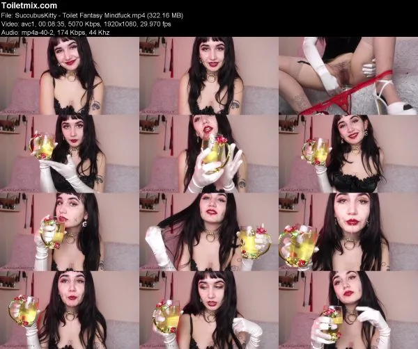 SuccubusKitty – Toilet Fantasy Mindfuck