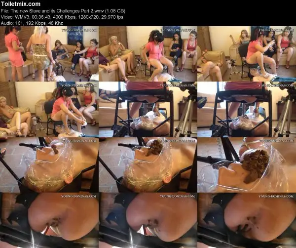 The new Slave and its Challenges Part 2 Young-Dominas