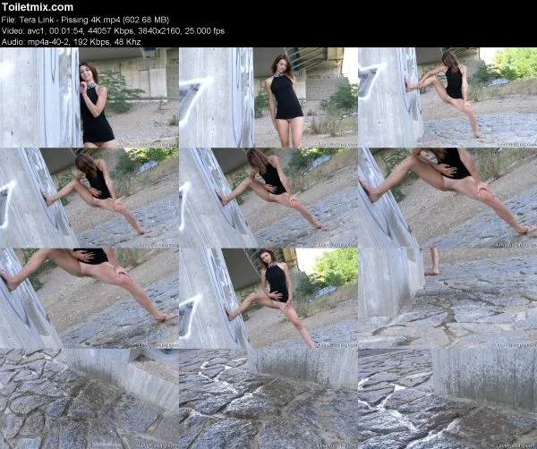 Tera Link – Pissing 4K