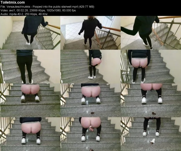 Versauteschnukkis – Pooped into the public stairwell