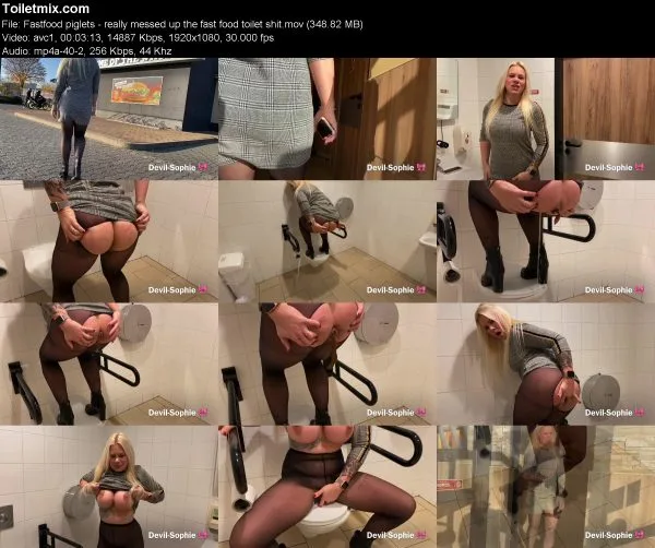 Fastfood piglets – really messed up the fast food toilet shit
