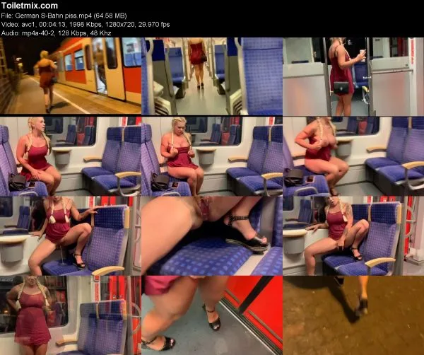 German S-Bahn piss