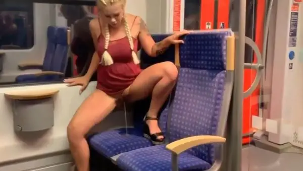 German S-Bahn piss