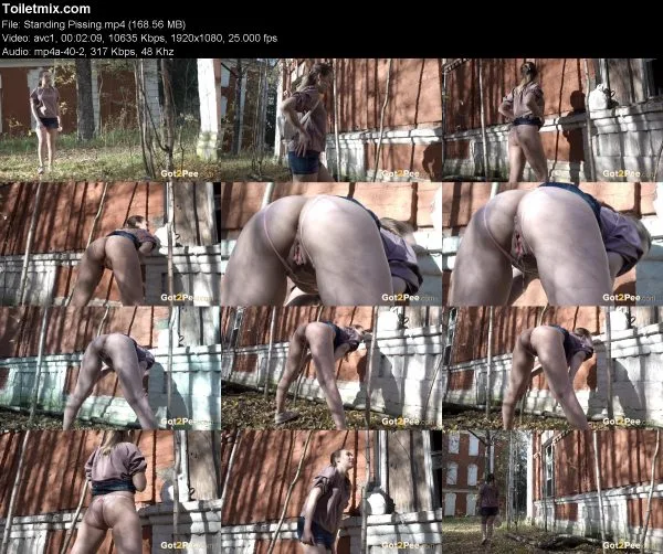Standing Pissing