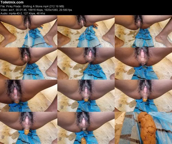Pinky Prada – Shitting A Stone