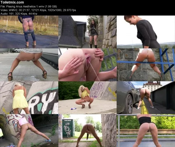 Pissing Anus Aesthetics 1