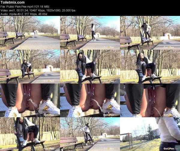 Public Park Pee