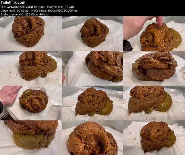 GINORMOUS Vacation Dump+Exam