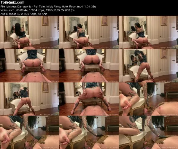 Mistress Damazonia – Full Toilet In My Fancy Hotel Room