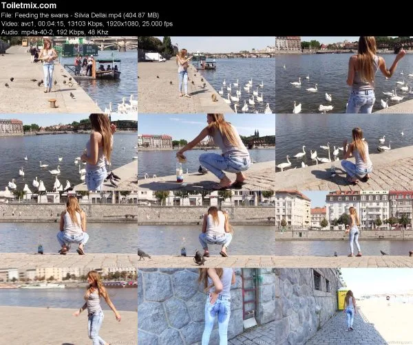 Feeding the swans – Silvia Dellai