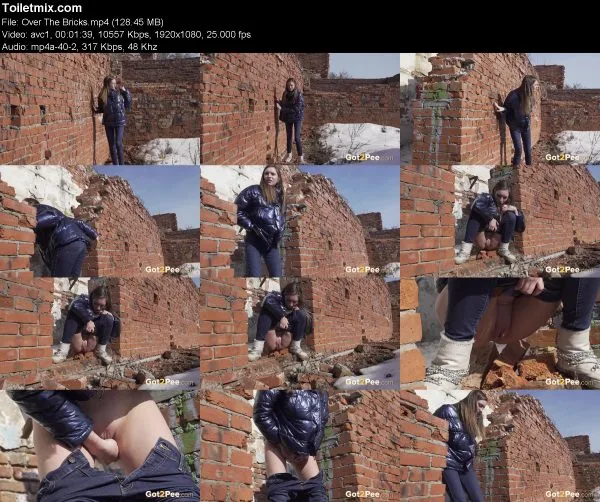 Over The Bricks