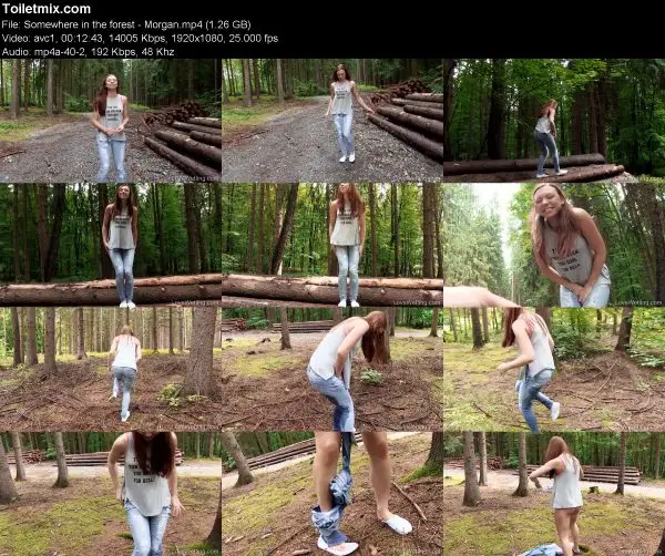 Somewhere in the forest – Morgan
