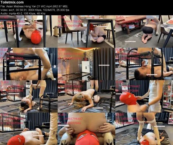 Asian Mistress Hong Yan 21 WC