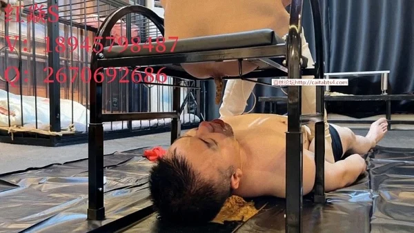Asian Mistress Hong Yan 21 WC