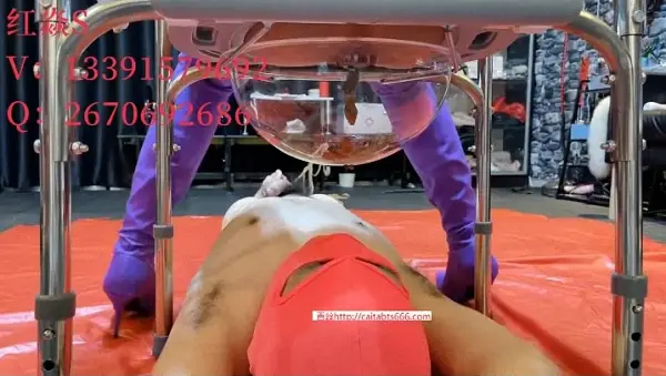 Asian Mistress Hong Yan 33 WC