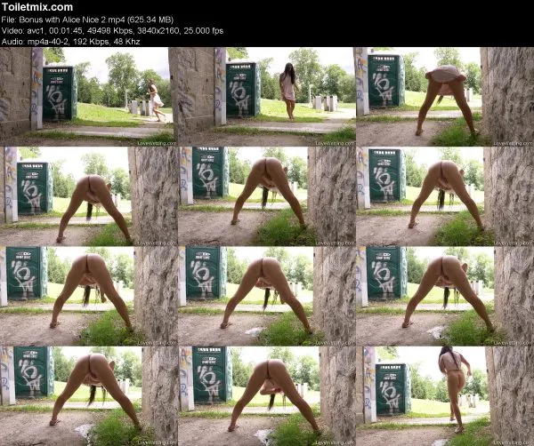 Bonus with Alice Nice 2