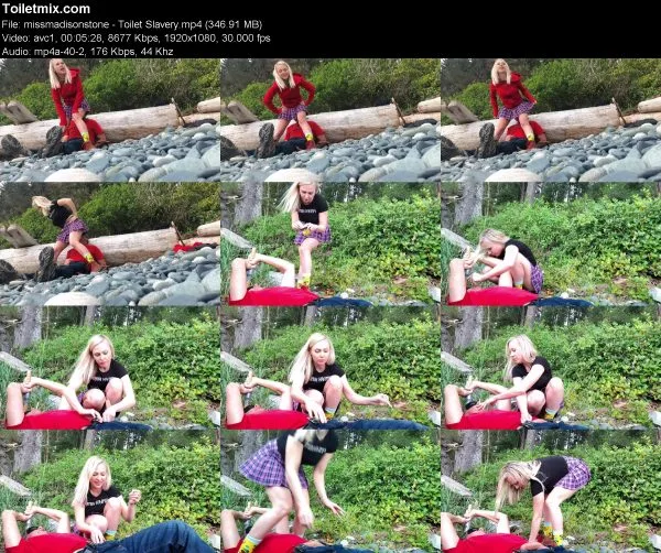 missmadisonstone – Toilet Slavery