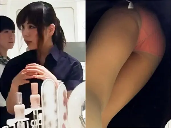 Japanese Voyeur 同業の決定的瞬間