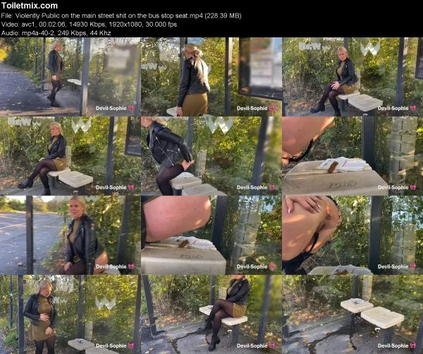 Violently Public on the main street shit on the bus stop seat