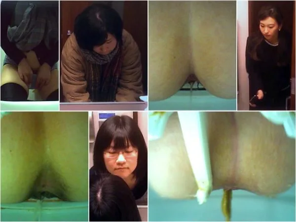 秘密の花園 Hidden Cam Toilet