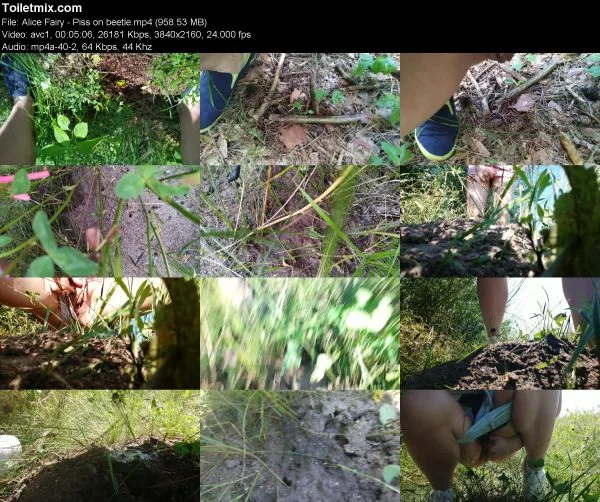 Alice Fairy – Piss on beetle