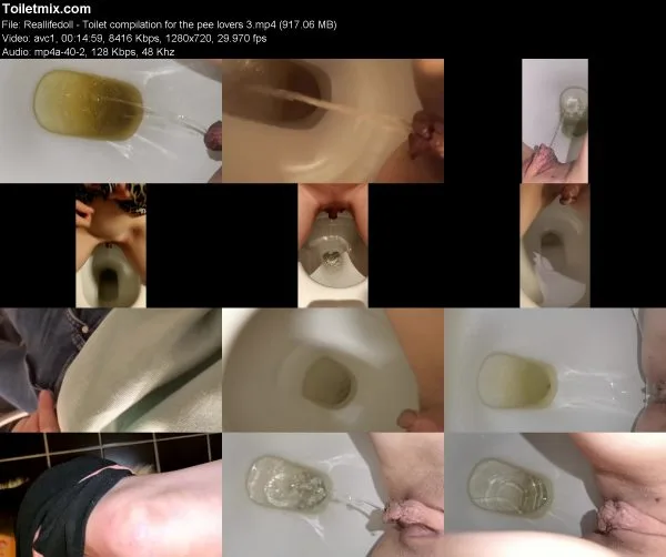 Reallifedoll – Toilet compilation for the pee lovers 3