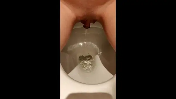 Reallifedoll – Toilet compilation for the pee lovers 3