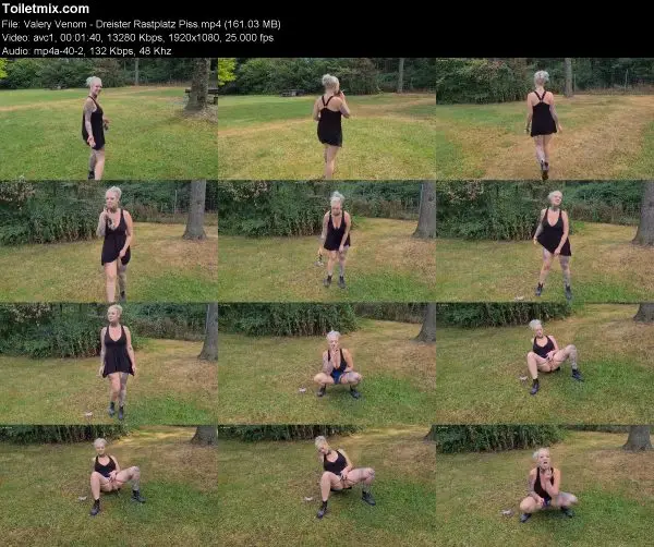 Valery Venom – Dreister Rastplatz Piss