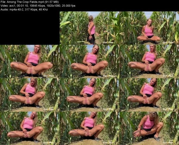 Among The Crop Fields
