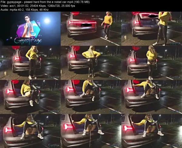 gypsypage – pissed hard from the e nobel car