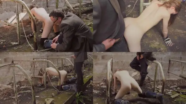 ffezine – hucow breeding