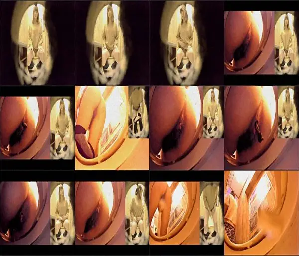 Toilet Voyeur【盗撮】真・ トイレ放尿放屁黙示録 其の20