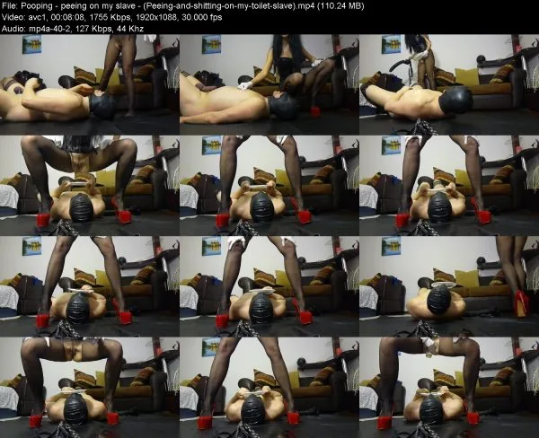 Pooping – peeing on my slave – (Peeing-and-shitting-on-my-toilet-slave)