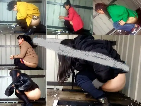 Simple dry toilet 7-10 Toilet Spy Cam
