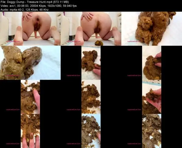 Doggy Dump – Treasure Hunt