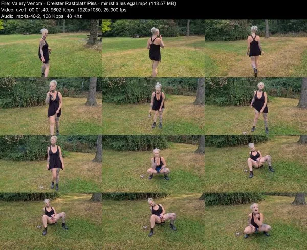 Valery Venom – Dreister Rastplatz Piss – mir ist alles egal