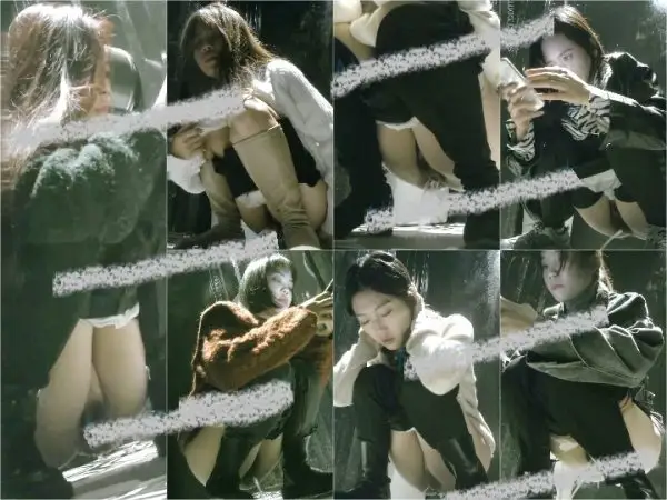 dual spy cams China Toilet Voyeur sifangktv 281-284