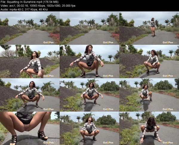 Squatting In Sunshine