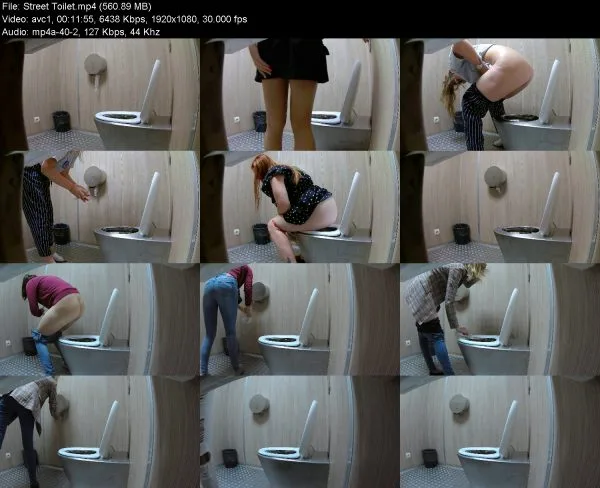 Street Toilet