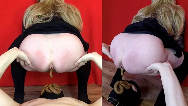 Scat BBW – Swallow Disgusting Shit Toilet