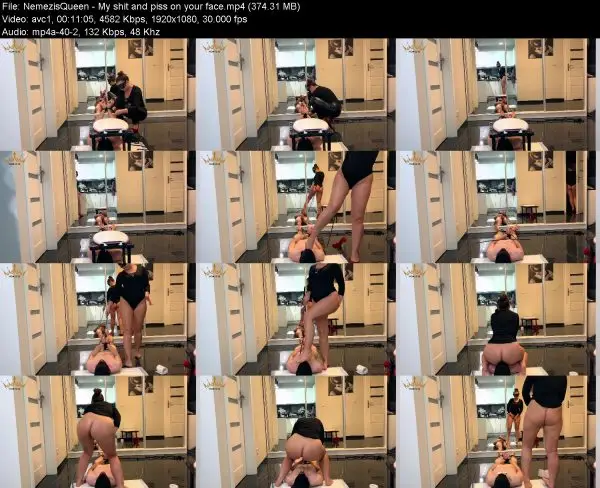 NemezisQueen – My shit and piss on your face