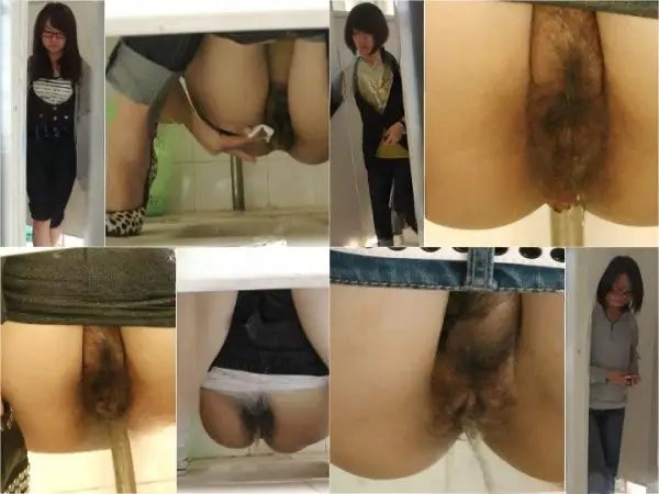 China Toilet Voyeur sifangktv 951-953 Hidden Toilet