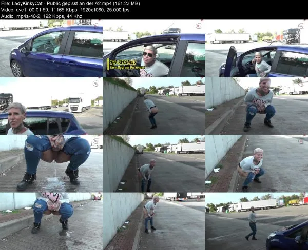 LadyKinkyCat – Public gepisst an der A2