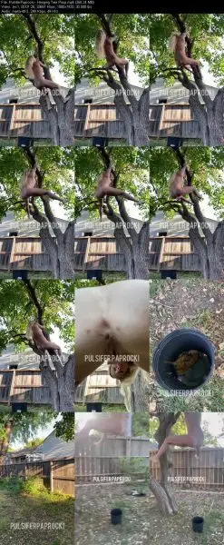 PulsiferPaprocki – Hanging Tree Poop