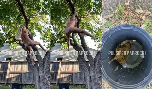 PulsiferPaprocki – Hanging Tree Poop